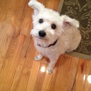 Meet your Posher, Lynn